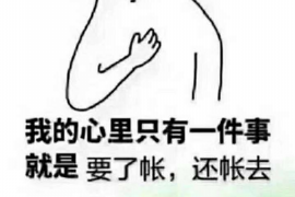 淮北企业清欠服务